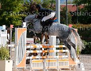 Maestri Beverly All GioCav2013 S5 1169 : Beverly All, Campionati Italiani Giovani Cavalli, Cattolica, Maestri Samuele, ph Stefano Secchi ©